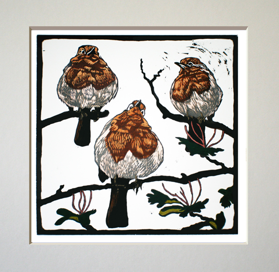 robins print